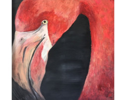 Bild "Flamingo"