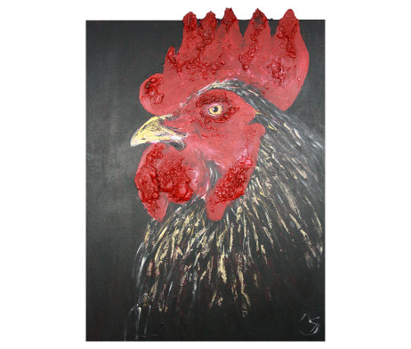 Bild "Gallo Nero"