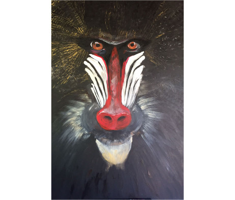 Bild "Mandrill"