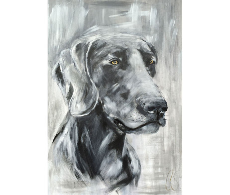 Bild "Silver"