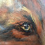 Bild 'Der Fuchs' - Detailansicht 3