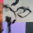 Bild 'Paul mag Klee' - Detailansicht 2