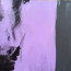 Bild 'Paul mag Klee' - Detailansicht 4