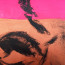 Bild 'Paul mag Klee' - Detailansicht 6