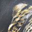 Bild 'Leopard' - Detailansicht 5