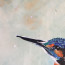 Bild 'Flügelschlag' - Detailansicht 5