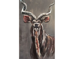 Bild "Kudu"