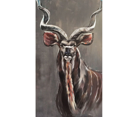 Bild "Kudu"