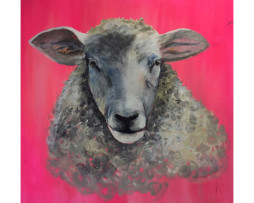 Bild 'Schaf auf Neonpink'