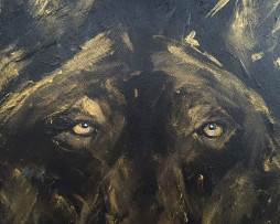 Bild 'Wolf bei Nacht' - Detailansicht 1