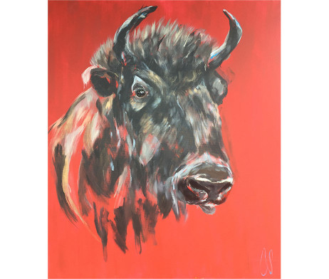 Bild 'Wisent'