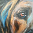 Bild 'Rhodesian Ridgeback' - Detailansicht 3