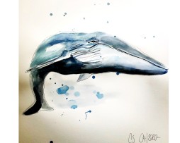Der Blauwal Aquarell